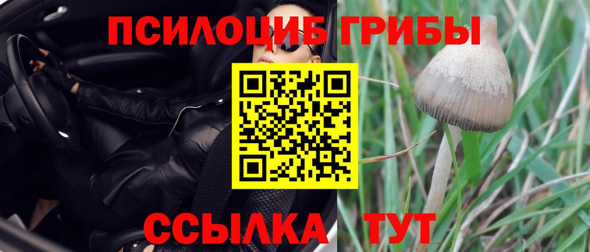 купить наркоту  Вход с VPN  Пенза  Псилоцибиновые грибы мухоморы  Галлюциногенные грибы мухоморы 