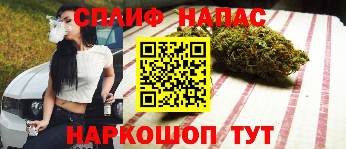 Пенза  Каннабис MAZAR  Марихуана гибрид  Марихуана конопля  Вход с VPN 